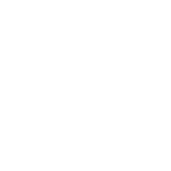 New-Surety-Logo-White